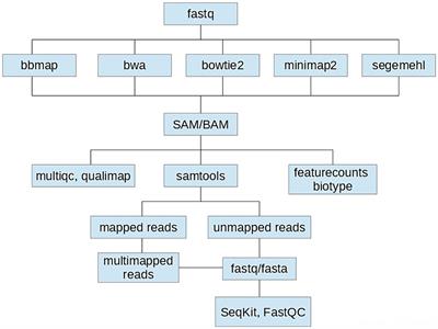 Benchmarking of five NGS mapping tools for the reference alignment of bacterial outer membrane vesicles-associated small RNAs
